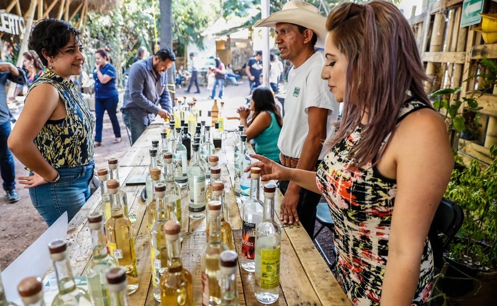 De acuerdo con el informe 2016 del Consejo Regulador de la Calidad del Mezcal (Comercam), la bebida de origen prehispánico continúa su expansión de manera rápida hacia Estados Unidos, Sudamérica, Europa y Asia. Registra a 364 productores de maguey, 586 de