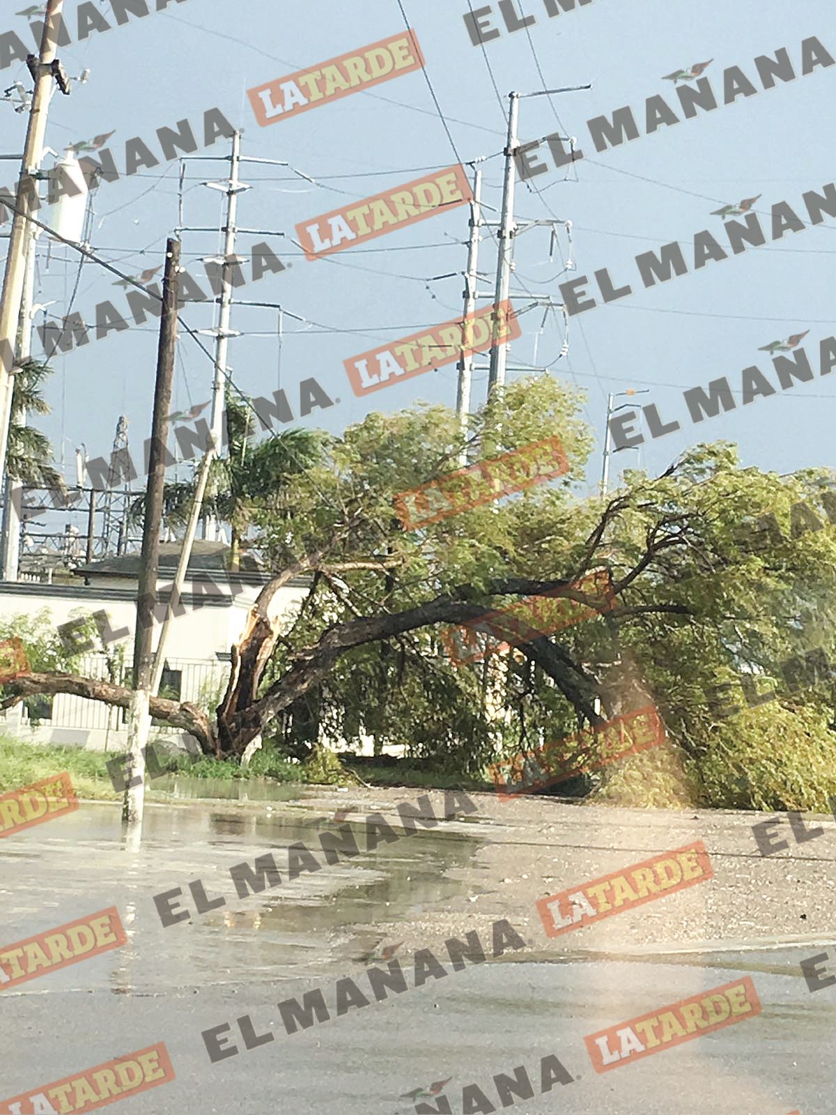 Clima. Una fuerte granizada se registró la tarde de ayer en Valle Hermoso y sus alrededores, por fortuna solo hubo daños materiales. (Foto: Jorge Mancha)