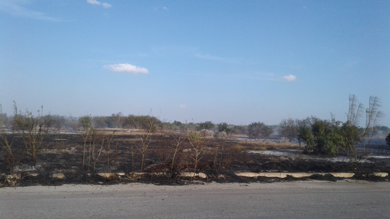 EXTENSION. Un área aproximada de 3 hectáreas, fue consumida en su totalidad por el fuego que arrasó con todo a su paso durante un incendio.(foto: Heriberto Rodríguez)