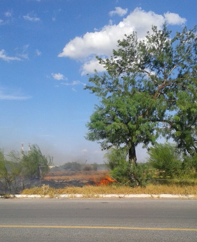 INCENDIO. Un voraz incendio forestal se registró la tarde del miércoles sobre la carretera a Los Aldamas y la Ribereña.(foto: Heriberto Rodríguez)