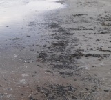 Aparecen manchas negras en la playa Bagdad