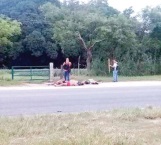 Hallan 6 muertos en Loma Bonita, Oaxaca