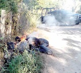 Hallan en Chilapa 5 cuerpos calcinados