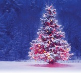 ¿Por qué se arma el árbol de navidad el 8 de diciembre?