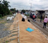 Frenan tren y roban trigo en Puebla