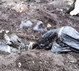 Hallan 6 cadáveres en fosa en Irapuato