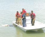 Enésimo ahogado en el río