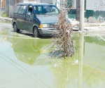 Piden acabar con fuga de aguas negras