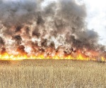 ‘Sofoca’ incendio masivo a bomberos