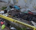 Investigan hallazgo de cuerpos desmembrados en Veracruz