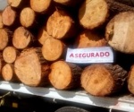 México impide ingreso de madera con plaga de EUA