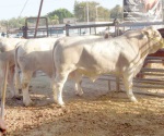 Preocupan recortes al campo