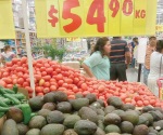 Desciende precio de aguacate y otros frutos