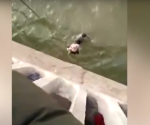 Una madre arrojó a su bebé al río; taxista lo rescata