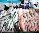 Vigilará la Profeco precios de mariscos