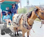 Descartan los carretoneros salir afectados