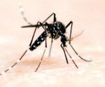Busca gobierno participación ciudadana para combatir zika, dengue y chikungunya