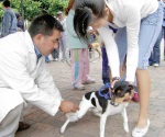 Servicio de vacunación gratuita para mascotas