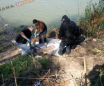 Rescatan cadáver del río Bravo