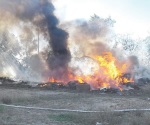 Incendio causa alarma entre la gente