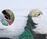 Fotos muestran plástico y deshechos en el Ártico