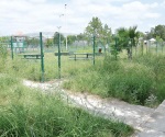 Plaza convertida en una selva que contamina sector