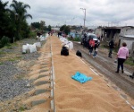 Frenan tren y roban trigo en Puebla