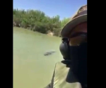 Difunde agente de BP video de un cocodrilo