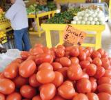 Carísimo venden el tomate ante problemática por el clima