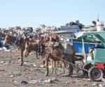 Fuera de circulación caballos de carretoneros