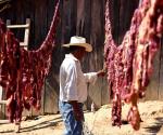 Sabiduría Na Savi para cura con sal la carne de res