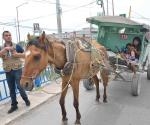 Arranca segunda fase para decomisar  y sancionar a los carretoneros incumplidos