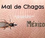 Surge de nuevo el Mal de Chagas´ que había sido erradicado hace tiempo