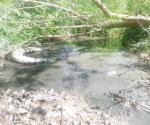 Aguas negras inundan la Ampliación  Rancho Grande