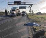 Hallan hombre muerto a la orilla de la carretera