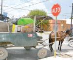 Refugio Animal pide no dar prórrogas