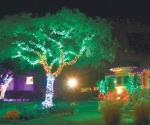 Piden vigilar las  luces navideñas