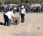 Concursan para atrapar un jabalí en fiesta de XV años