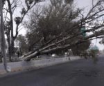 Cae espectacular en periférico norte por culpa de ráfagas de viento