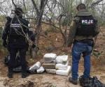 Incautan 30 kilos de marihuana en operativo policiaco conjunto