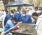 Exponen protocolo de ´cocinas´