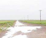 Traen las lluvias alegría al campo