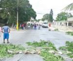 Bloquean por falta de ´luz´