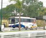 Tumba autobús urbano semáforo y una cámara