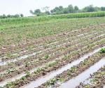 Agrava situación entrega de agua