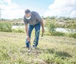 Realizan reforestación  en las áreas verdes