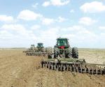 Preparan tierra para la siembra de sorgo