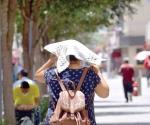 Seguirá el calor