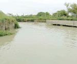 Mueren reses y peces por invasión de agua salada