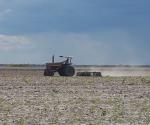 Lluvias dejan poco beneficio al campo